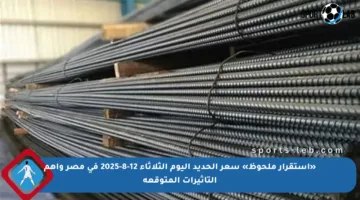 «استقرار ملحوظ» سعر الحديد اليوم الثلاثاء 12-8-2025 في مصر وأهم التأثيرات المتوقعة